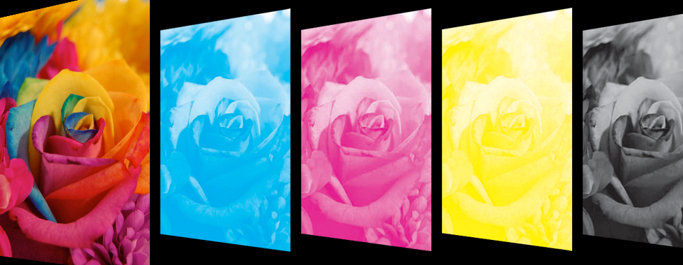 What Is Screen Printing & How Does It Work: A Comprehensive Guide