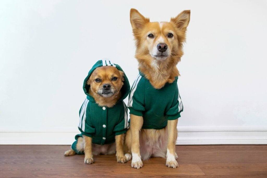 Custom Clothing Manufacturer
