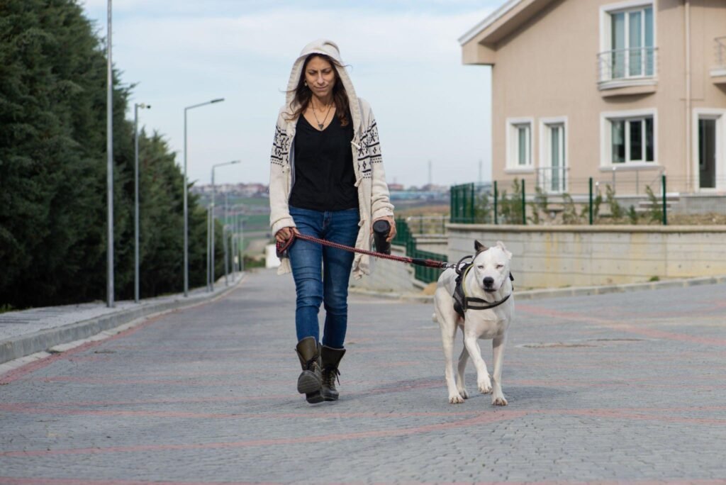 12 Popular Types Of Cardigans Everyone Should Know