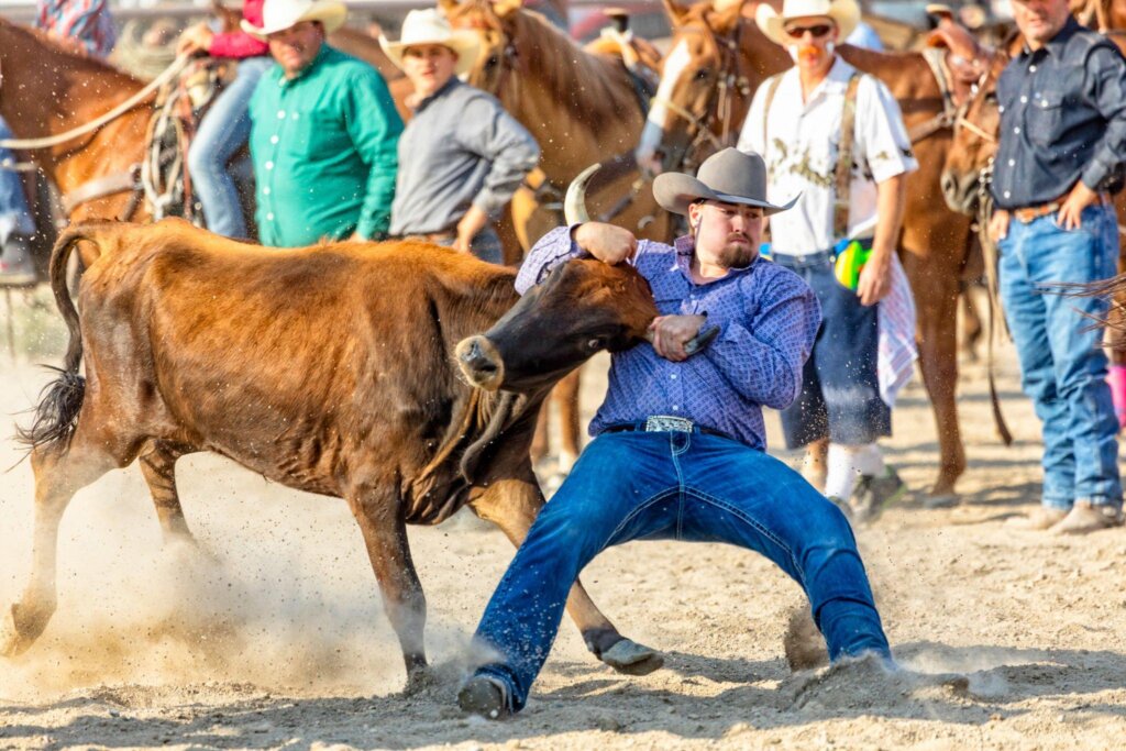 Heavyweight bull denim applications