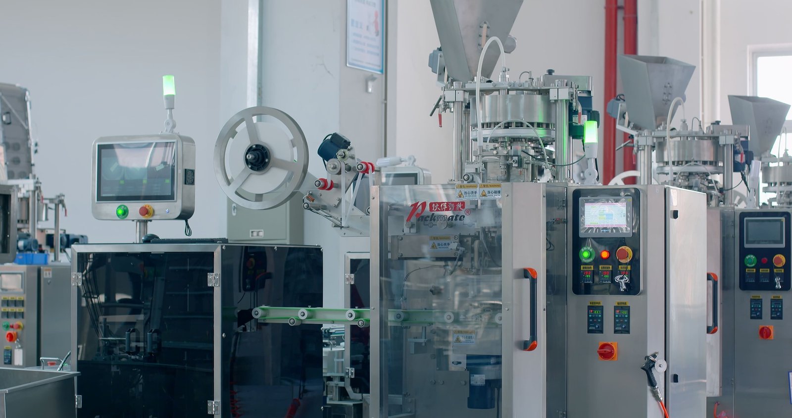 End-of-Line Carton Packer